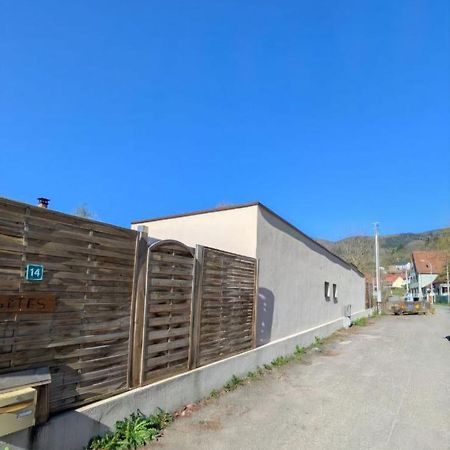 Aparthotel Ikigai Muhlbach-sur-Munster Esterno foto